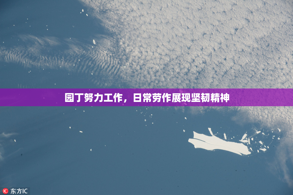 园丁努力工作，日常劳作展现坚韧精神