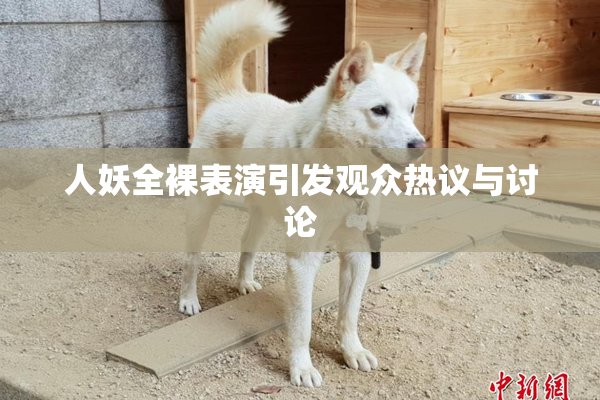人妖全裸表演引发观众热议与讨论