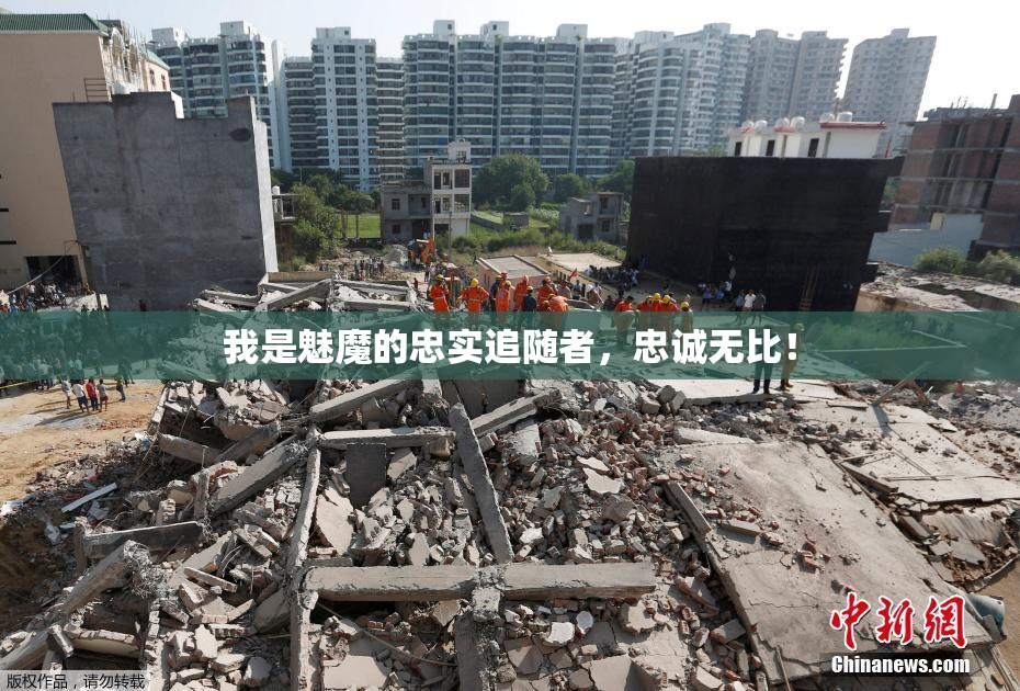我是魅魔的忠实追随者，忠诚无比！