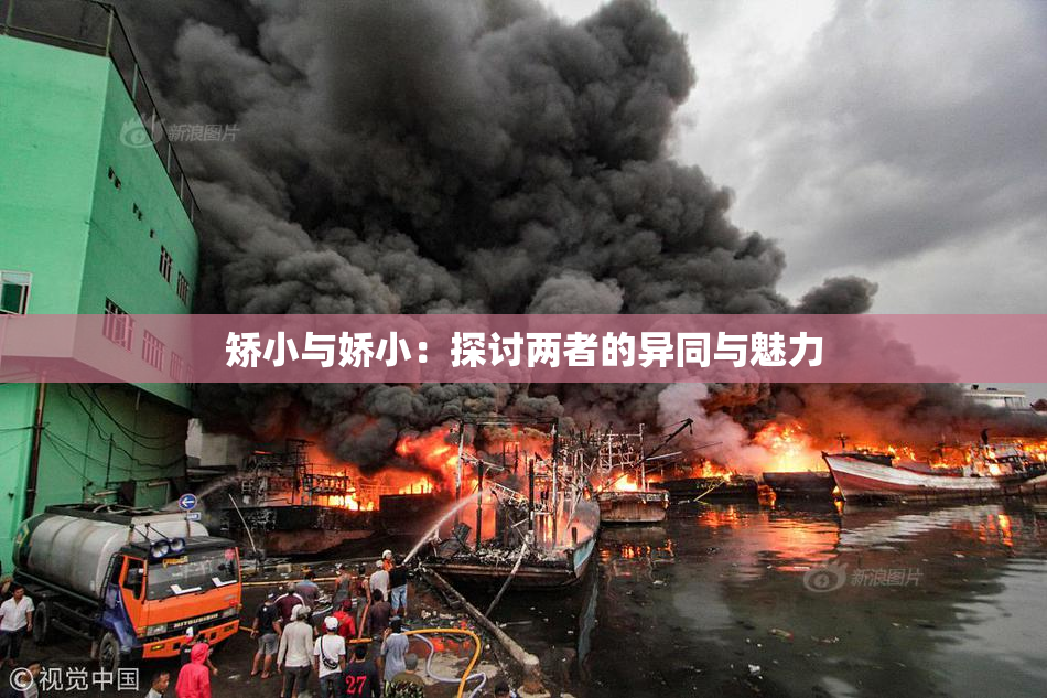 矫小与娇小：探讨两者的异同与魅力