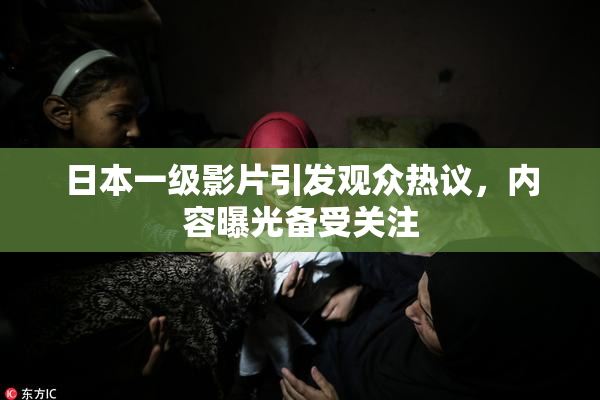日本一级影片引发观众热议，内容曝光备受关注