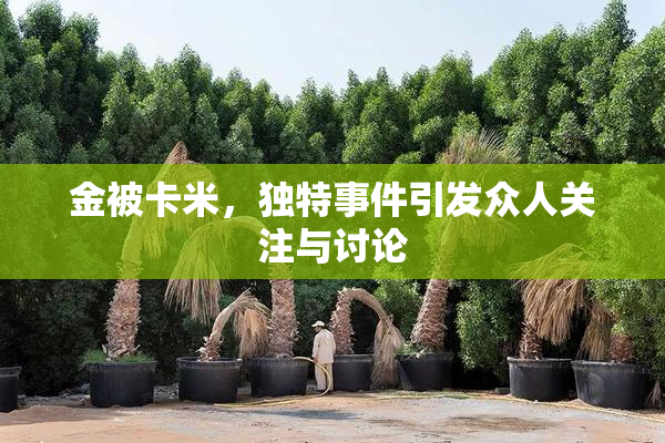 金被卡米，独特事件引发众人关注与讨论