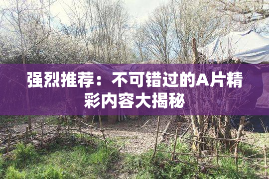 强烈推荐：不可错过的A片精彩内容大揭秘