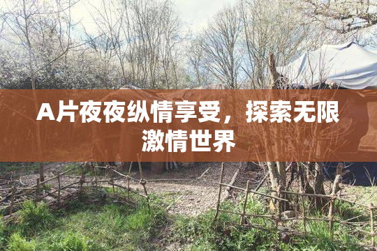 A片夜夜纵情享受，探索无限激情世界