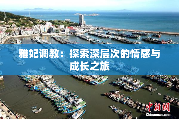 雅妃调教：探索深层次的情感与成长之旅