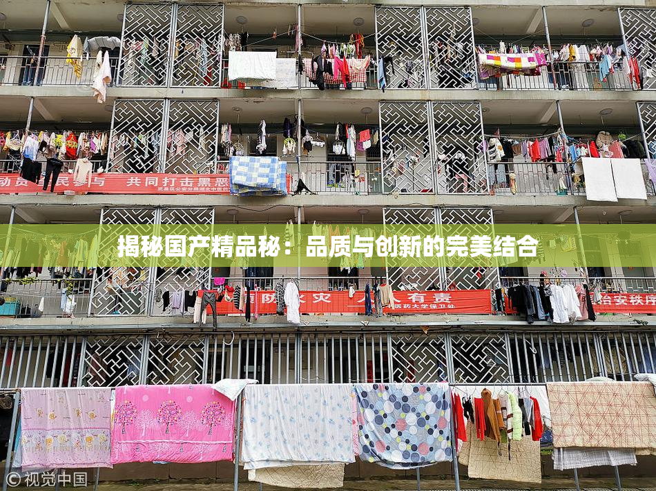 揭秘国产精品秘：品质与创新的完美结合