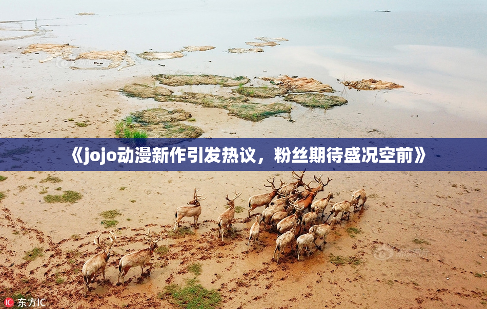 《jojo动漫新作引发热议，粉丝期待盛况空前》