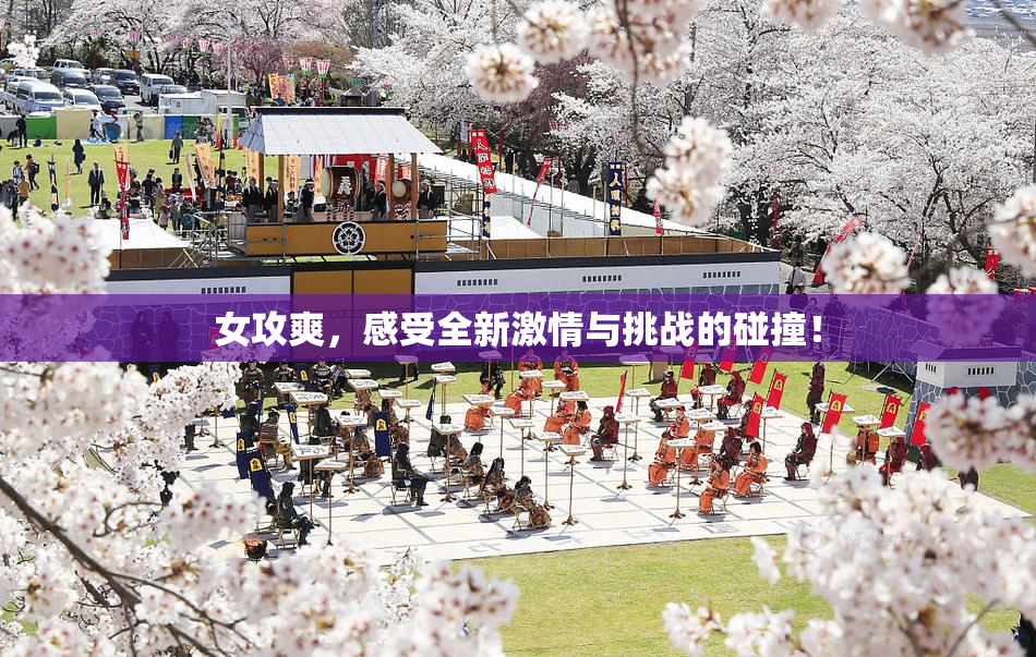 女攻爽，感受全新激情与挑战的碰撞！