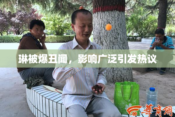 琳被爆丑闻，影响广泛引发热议