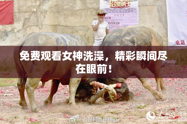 免费观看女神洗澡，精彩瞬间尽在眼前！