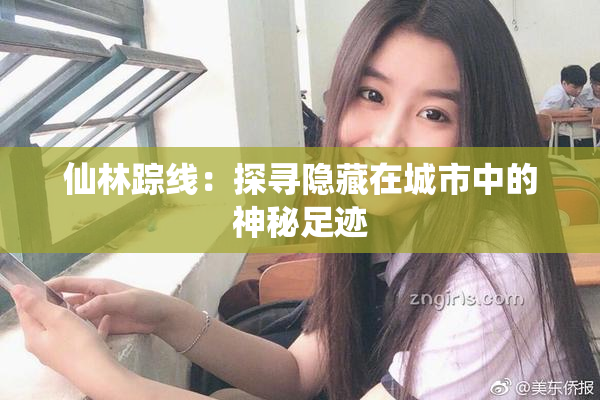 仙林踪线：探寻隐藏在城市中的神秘足迹