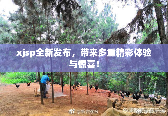 xjsp全新发布，带来多重精彩体验与惊喜！