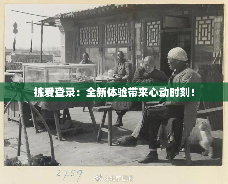 拣爱登录：全新体验带来心动时刻！