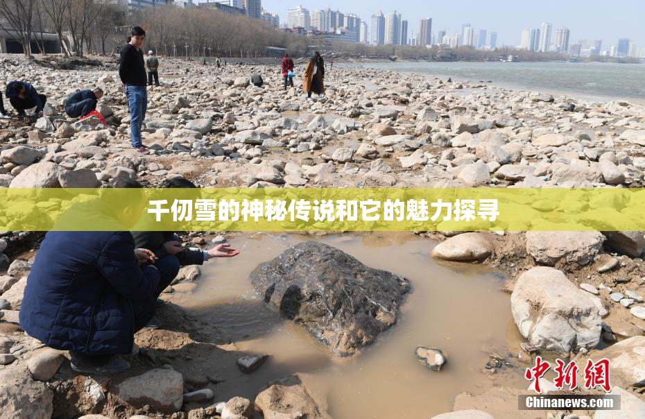 千仞雪的神秘传说和它的魅力探寻