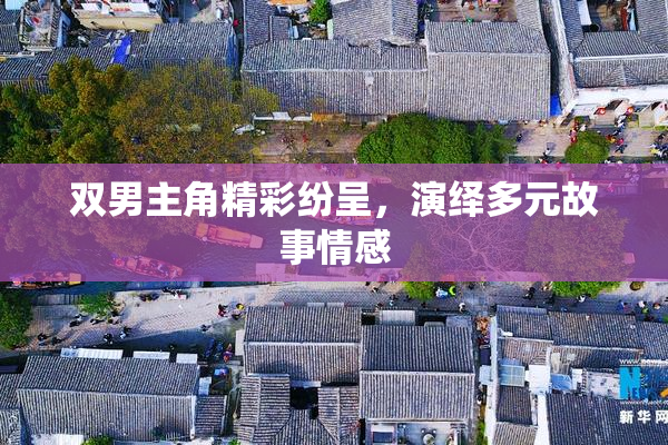 双男主角精彩纷呈，演绎多元故事情感
