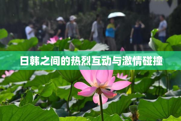 日韩之间的热烈互动与激情碰撞