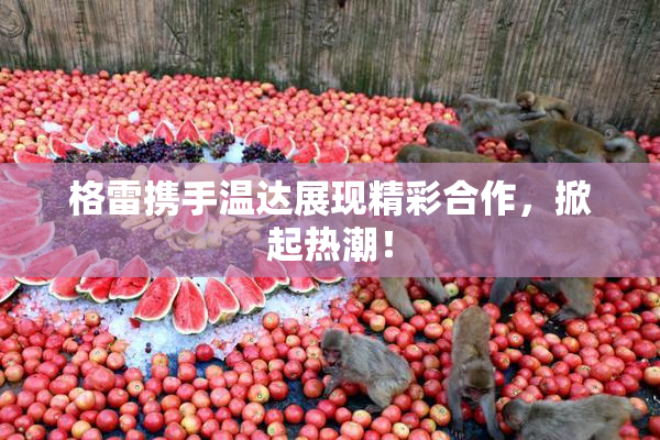 格雷携手温达展现精彩合作，掀起热潮！