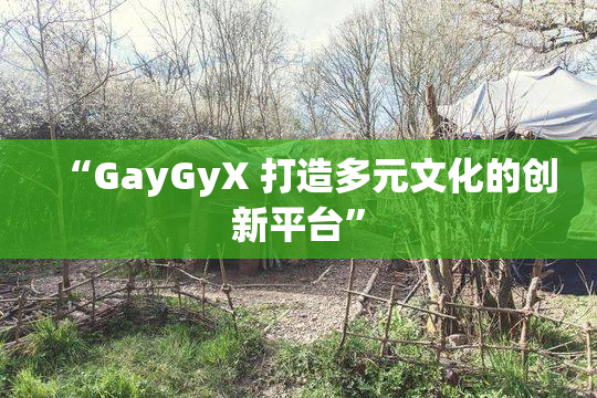 “GayGyX 打造多元文化的创新平台”