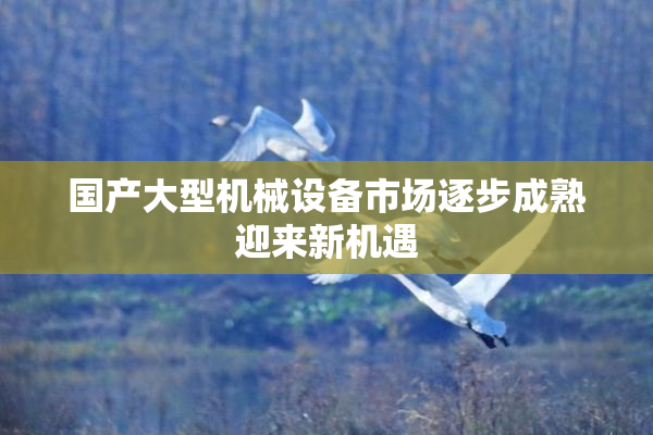 国产大型机械设备市场逐步成熟迎来新机遇