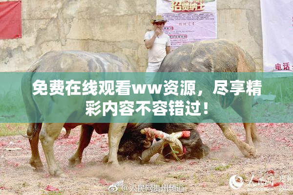 免费在线观看ww资源，尽享精彩内容不容错过！