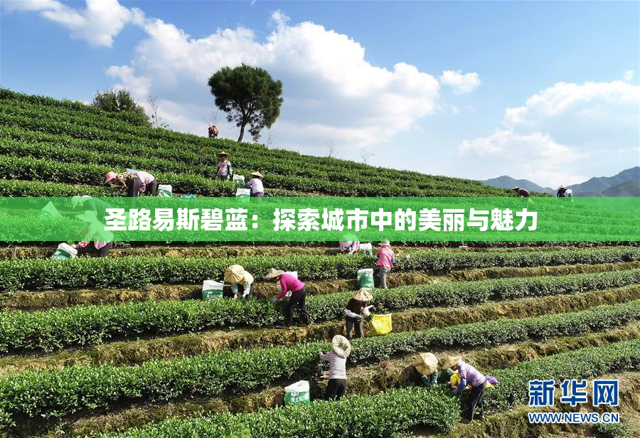 圣路易斯碧蓝：探索城市中的美丽与魅力