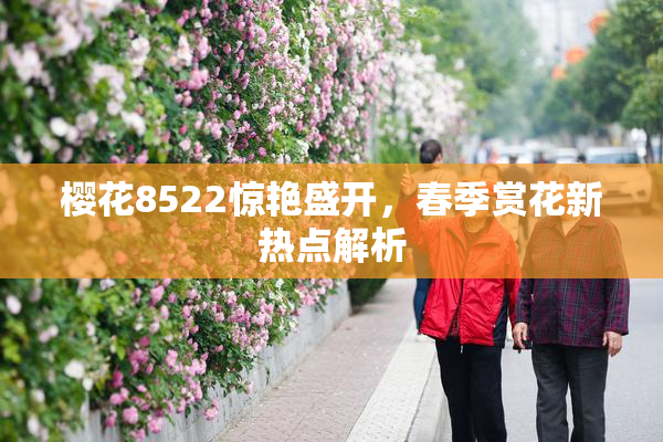 樱花8522惊艳盛开，春季赏花新热点解析