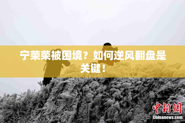 宁荣荣被困境？如何逆风翻盘是关键！