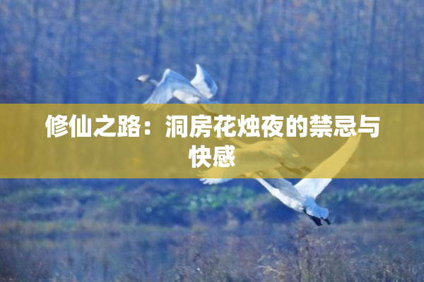 修仙之路：洞房花烛夜的禁忌与快感