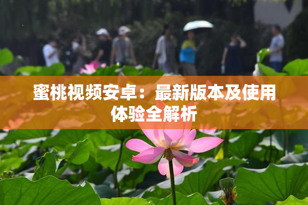 蜜桃视频安卓：最新版本及使用体验全解析