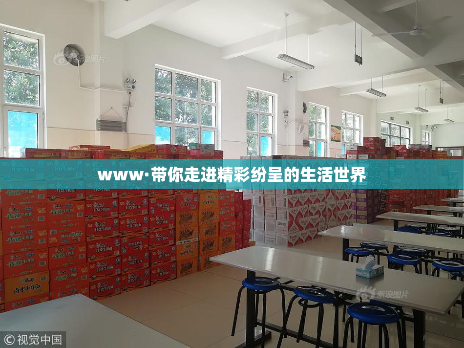 www·带你走进精彩纷呈的生活世界