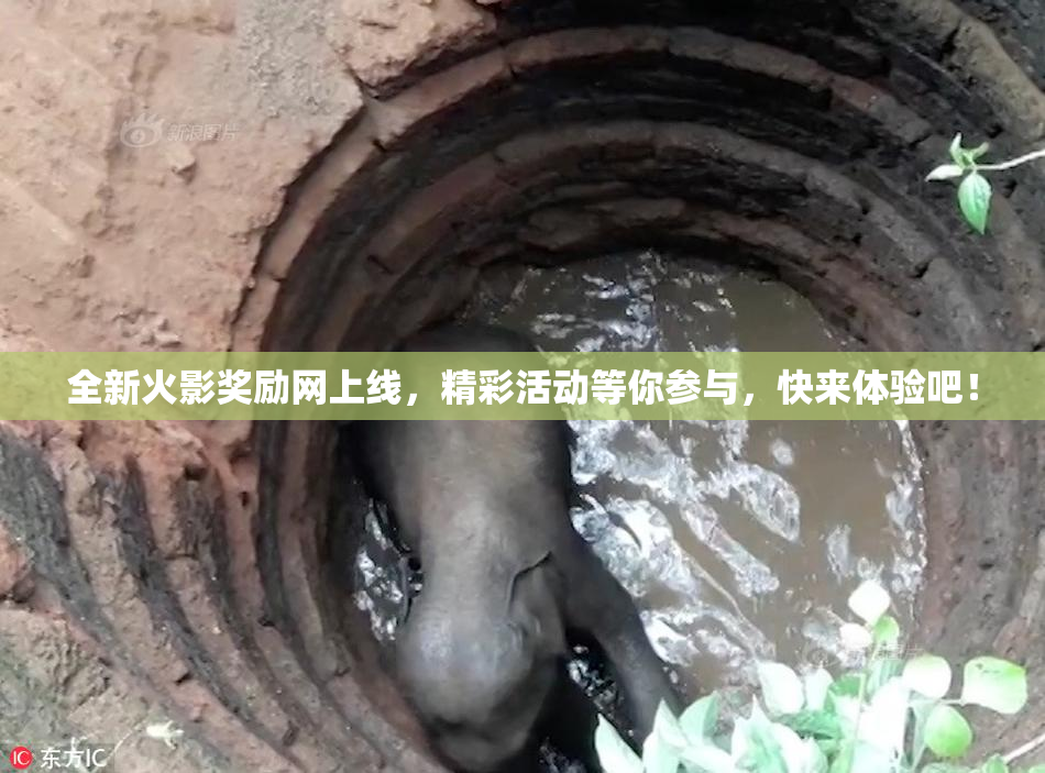 全新火影奖励网上线，精彩活动等你参与，快来体验吧！