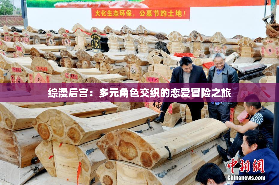 综漫后宫：多元角色交织的恋爱冒险之旅