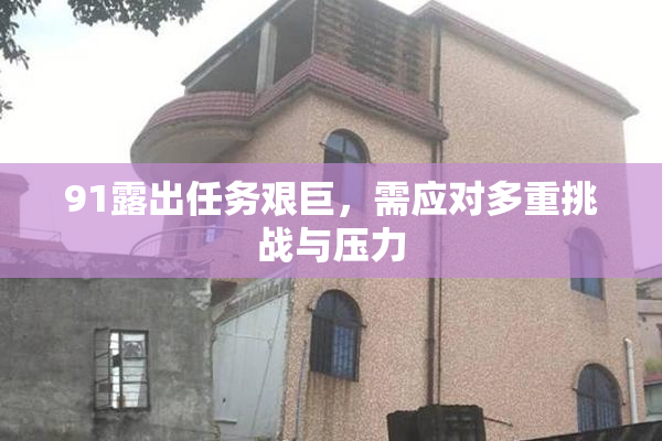 91露出任务艰巨，需应对多重挑战与压力