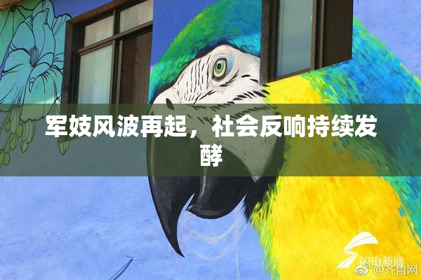 军妓风波再起，社会反响持续发酵