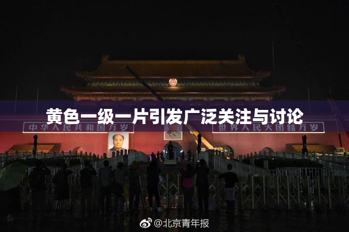 黄色一级一片引发广泛关注与讨论