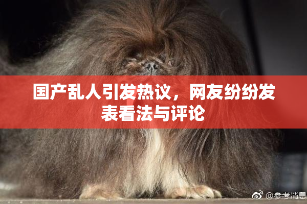 国产乱人引发热议，网友纷纷发表看法与评论