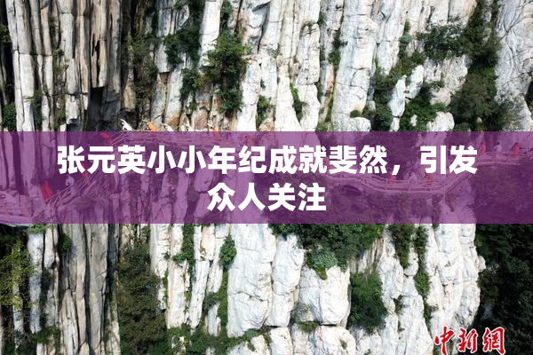 张元英小小年纪成就斐然，引发众人关注