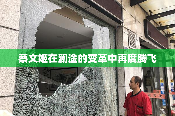 蔡文姬在澜淦的变革中再度腾飞