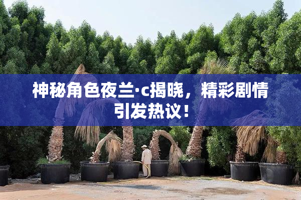 神秘角色夜兰·c揭晓，精彩剧情引发热议！