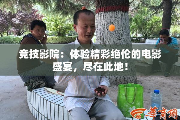 竞技影院：体验精彩绝伦的电影盛宴，尽在此地！