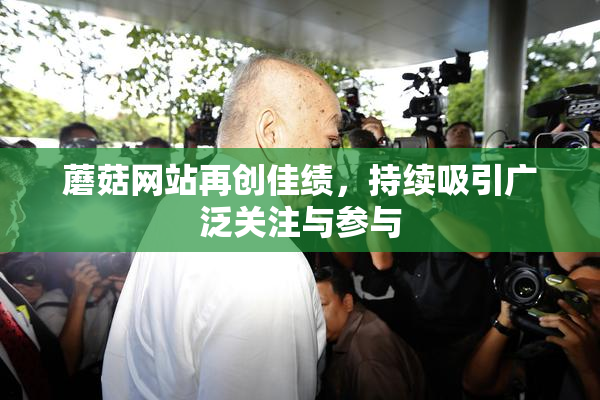蘑菇网站再创佳绩，持续吸引广泛关注与参与
