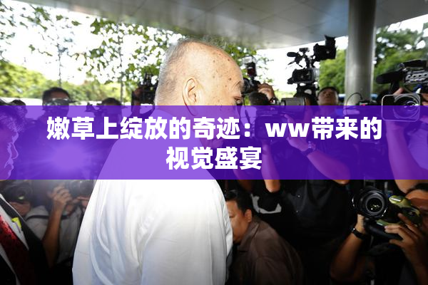嫩草上绽放的奇迹：ww带来的视觉盛宴
