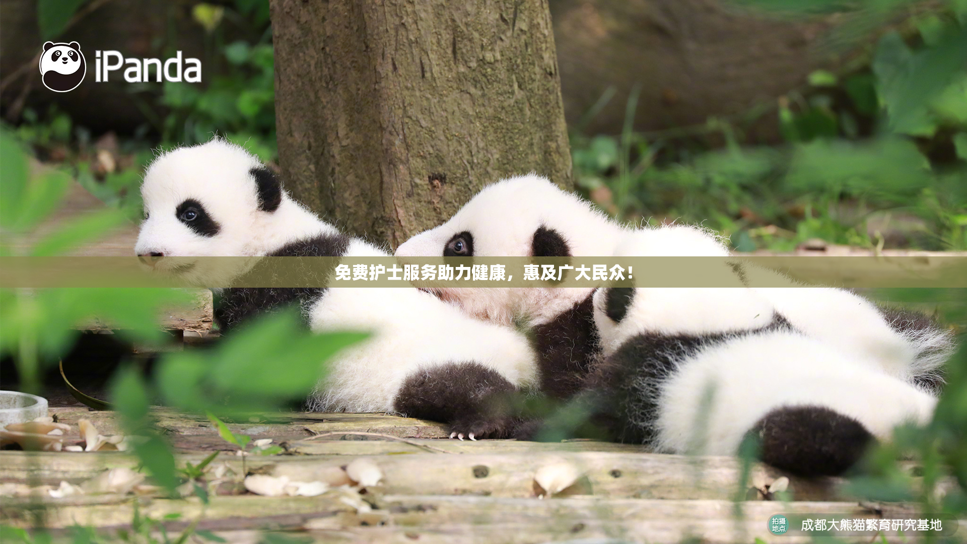 免费护士服务助力健康，惠及广大民众！