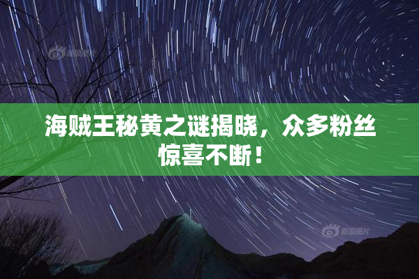海贼王秘黄之谜揭晓，众多粉丝惊喜不断！