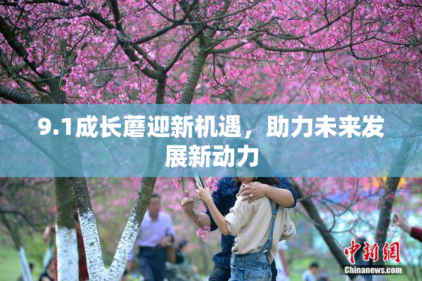 9.1成长蘑迎新机遇，助力未来发展新动力