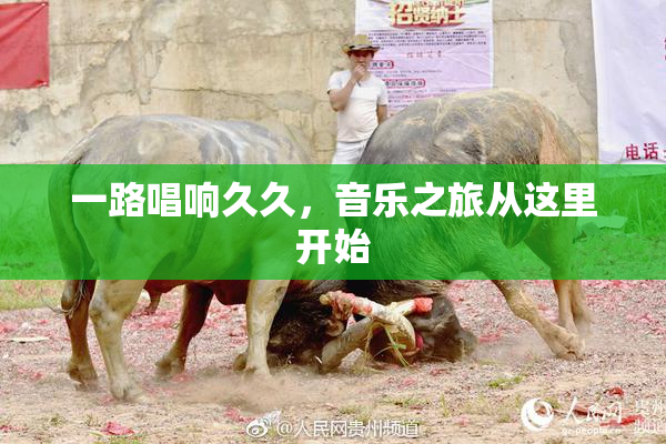 一路唱响久久，音乐之旅从这里开始