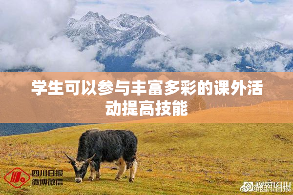 学生可以参与丰富多彩的课外活动提高技能