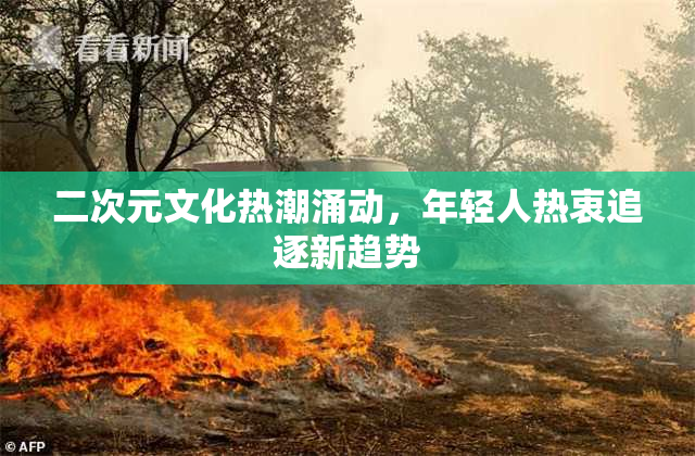 二次元文化热潮涌动，年轻人热衷追逐新趋势