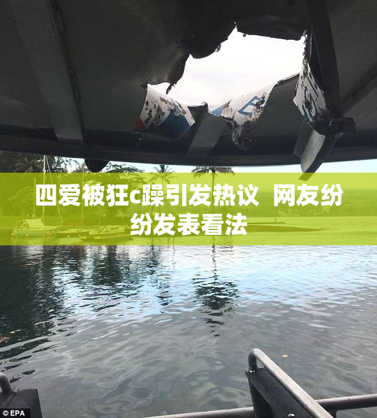 四爱被狂c躁引发热议  网友纷纷发表看法