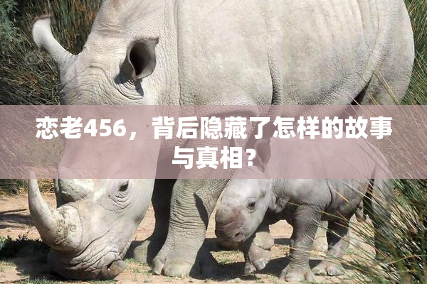 恋老456，背后隐藏了怎样的故事与真相？